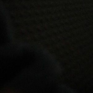 Meet your Posher, Daisy